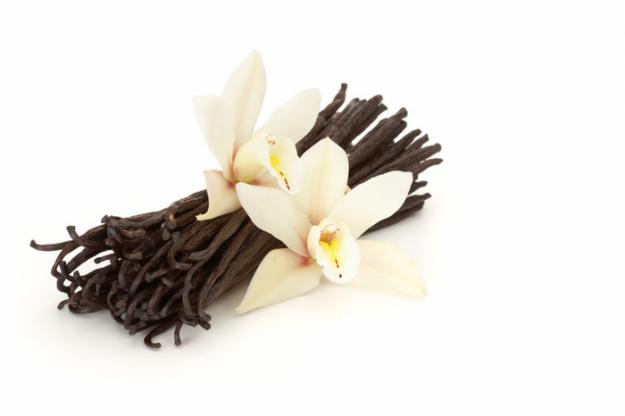 Baunilha Odor balsâmico descoberto em numerosos vinhos, que recorda o perfume da baunilha, com origem num éster proveniente de um aldeído fenol ou da baunilha (aldeído também conhecido com o nome de vanilina). A madeira de carvalho das barricas pode dar compostos baunilhados em combinação com os polifenóis do vinho.