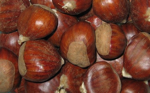 Castanha Odor frutado que evoca o da castanha torrada e quente, característico de alguns chardonnays fermentados em madeira, ou o da castanha assada, que aparece em alguns vinhos brancos jovens.