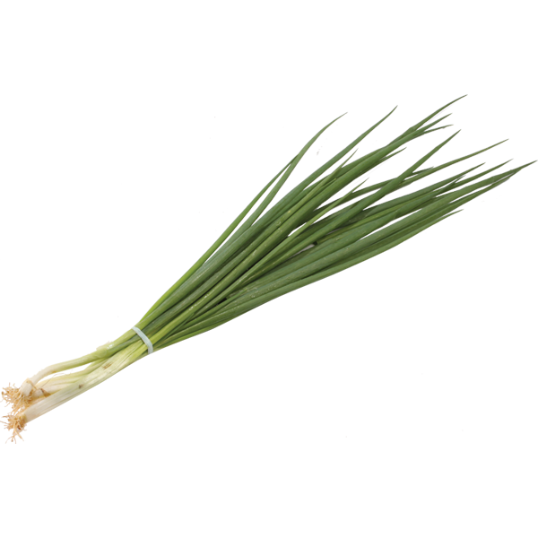 Cebolinho Odor vegetal de alguns vinhos brancos que evoca o desta planta