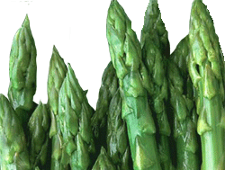 Espargo Odor vegetal característico de alguns vinhos brancos.