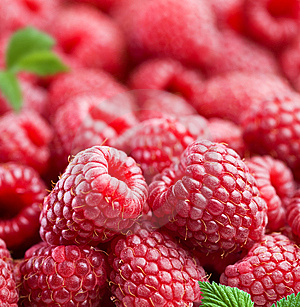 Framboesa Agradável aroma frutado de certos vinhos tintos. 