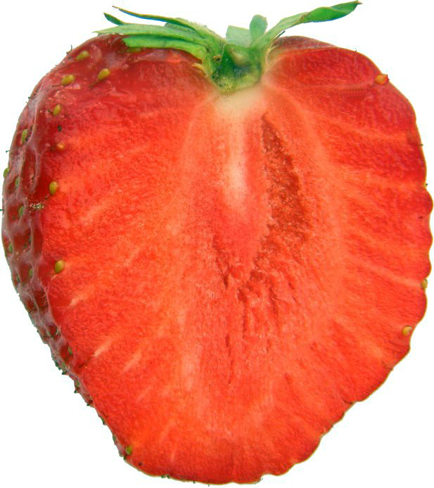 Morango Aroma frutado que recorda o do morango cultivado ou o silvestre, menos suave que o morango do campo. 