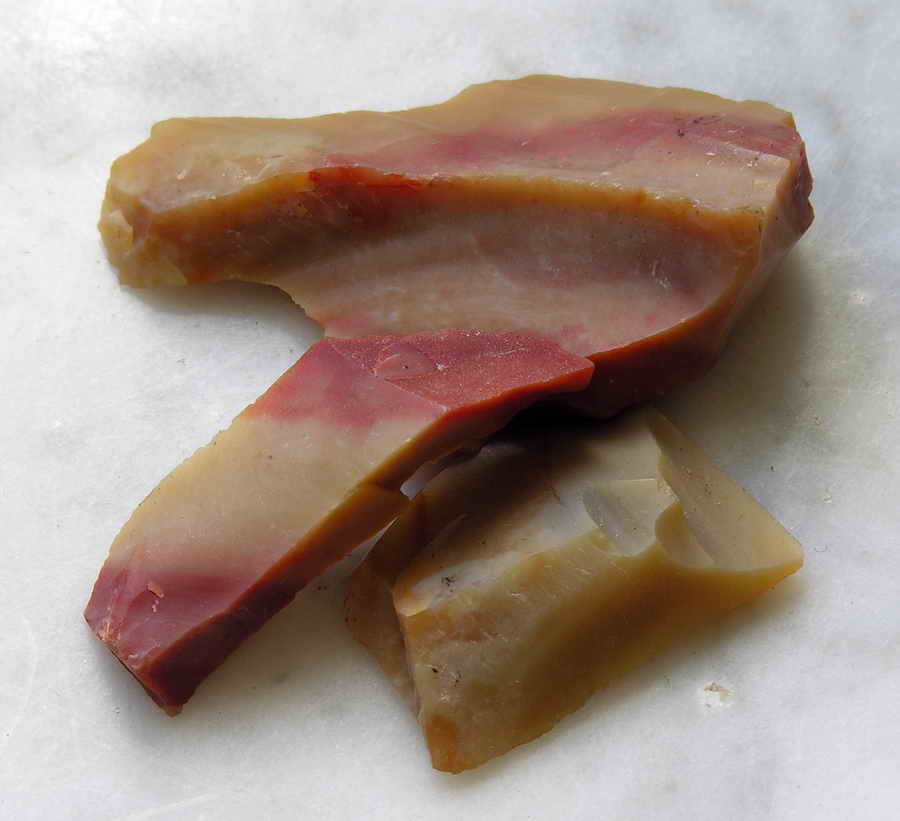 Pederneira Odor e sabor mineral de certos vinhos que lembram o do sílex queimado. Pode aparecer com frequência nos bons brancos da zona da Vidigueira. 
