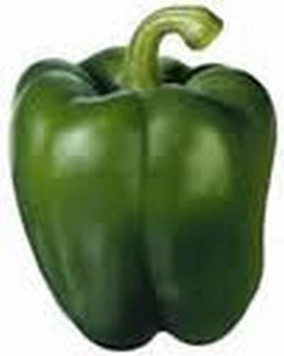 Pimento verde Aroma vegetal característico de alguns vinhos, que recorda o do pimento verde. 