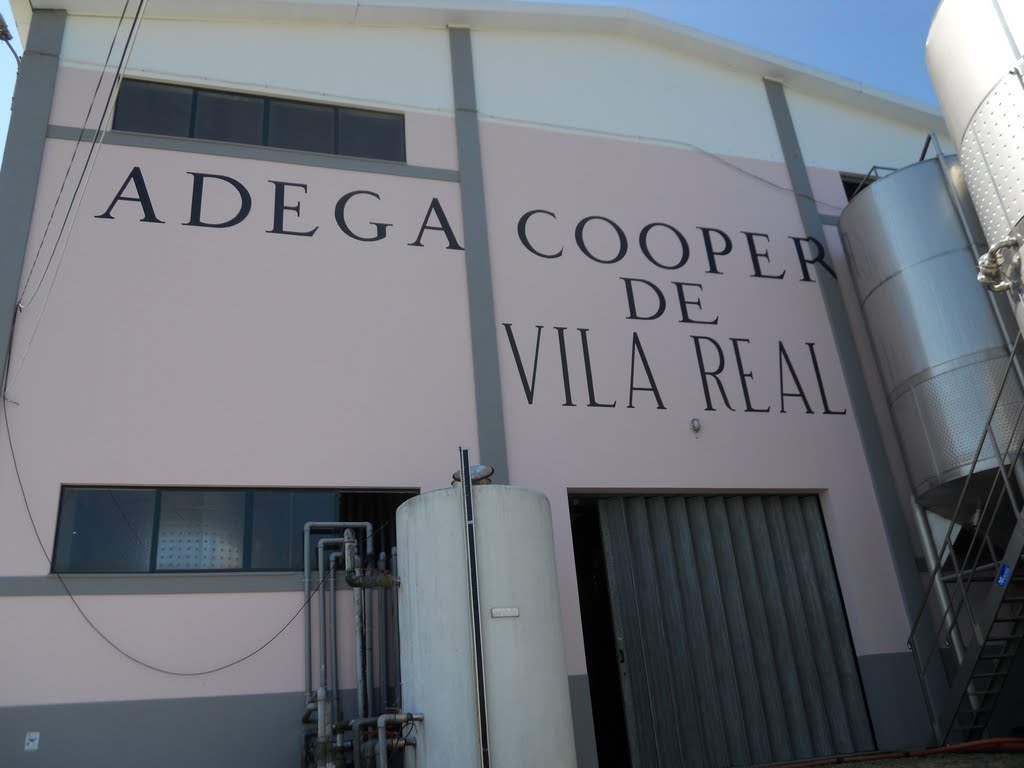 Fundada em 1955, com o objectivo de defender os interesses dos pequenos viticultores da Região Demarcada do Douro, a Adega Cooperativa de Vila Real viu, desde cedo, ser reconhecida a sua qualidade, pois logo na década de 60, os seus vinhos ganharam diversos prémios em concursos nacionais e internacionais.