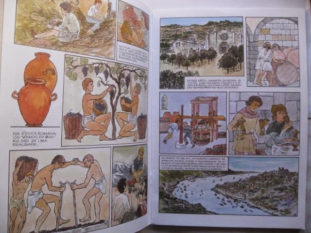 A fundação de Portugal, em 1143 por D. Afonso Henriques, e a conquista da totalidade do território português aos mouros, em 1249, permitiu que se instalassem Ordens religiosas, militares e monásticas, com destaque para os Templários, Hospitalários, Sant'Iago da Espada e Cister, que povoaram e arrotearam extensas regiões, tornando-se activos centros de colonização agrícola, alargando-se, deste modo, as áreas de cultivo da vinha.