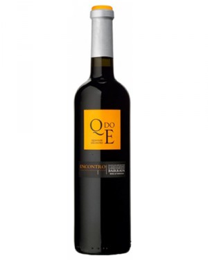 QdoE Baga Merlot Tinto 2011
