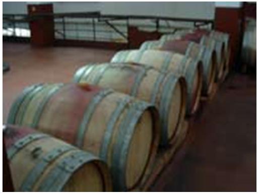 Os vinhos velhos da Adega Cooperativa de Valpaços são estagiados em barricas de madeira de carvalho novo.