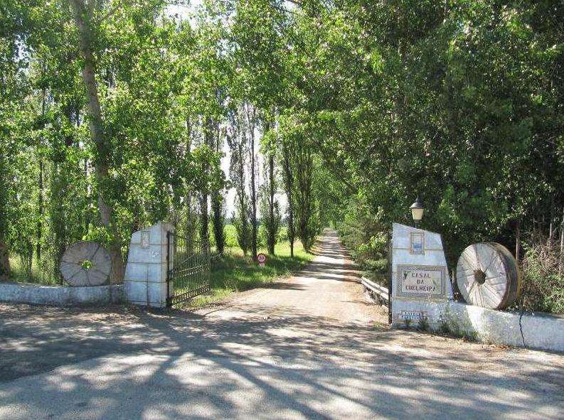 Quinta do Casal da Coelheira está localizada no concelho de Abrantes na freguesia de Tramagal, junto ao rio Tejo que suavemente banha o vale dos seus Terraços que emprestam o nome a uma das marcas, o "Terraços do Tejo". A Quinta tem largas tradições no cultivo da vinha e na produção de vinho. Foi, no entanto, no final da década de oitenta que, sem deixar de preservar e melhorar os bons métodos tradicionais, e tendo em vista as exigências dos mercados, se introduziram modernas tecnologias e aplicaram novos e evoluídos conceitos tecnológicos.