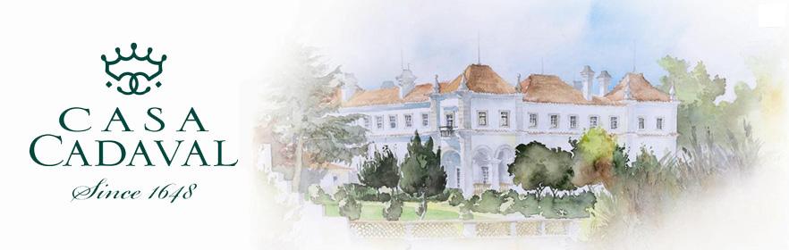 Quatro de séculos de história marcam esta carismática casa ribatejana. O tempo veio mostrar a modernização, com substituição de equipamento velho, para fazer face aos seus 50 hectares de vinha e produção aproximada de 300000 garrafas.