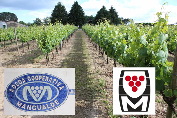 Endereço Postal Adega Cooperativa de Mangualde, CRL. Quinta do Melo 3530-250 Mangualde Horário Loja: segunda a sexta-feira das 08:30 às 12:30 e das 14:00 às 18:30; sábado das 08:30 às 13:00 e das 14:30 às 18:00 Contactos Direção geral@acmang.com Departamento comercial comercial@acmang.com   Departamento financeiro financeiro@acmang.com  Departamento enologia qualidade@acmang.com  Departamento enoturismo enoturismo@acmang.com  Loja da Adega loja@acmang.com   Outros contactos Telefone: +351 232 623 845 Fax: +351 232 611 729