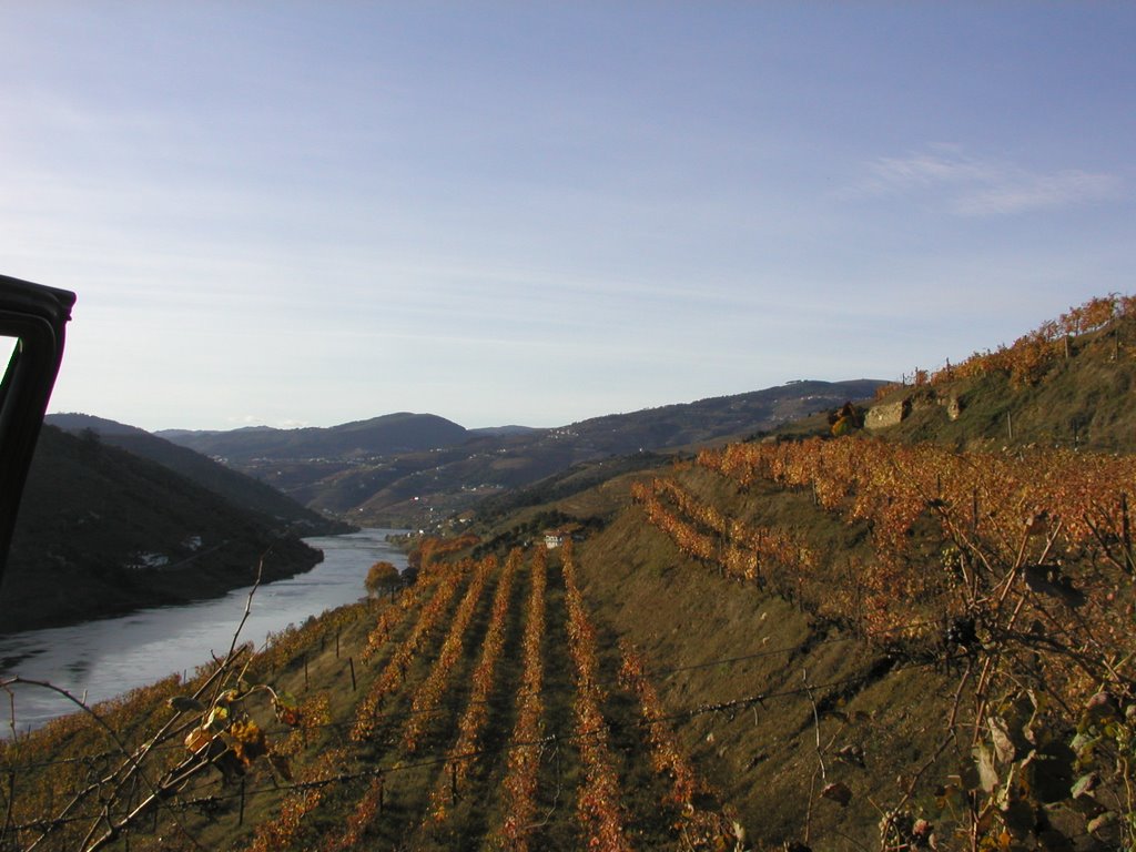 De óptima exposição e localização soberba, quase mergulhando no rio Douro, esta Quinta tem sido um dos principais campos de ensaios de Alves de Sousa: estudo de sistemas de condução da videira, zonagem vitícola, reestruturações... sempre preservando a tradição, aquilo que faz do Douro uma região singular: combinação de castas em vinhas novas com sistemas de compassos antigos e os eternos muros, erguidos pelos antepassados e que certamente acompanharão os filhos e os filhos deles. 