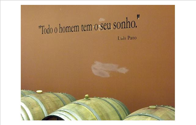 "Todo o Homem tem um sonho" - Luís Pato