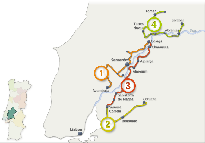 ROTAS DOS VINHOS – RIBATEJO – Vinhos do Tejo (clique na imagem para mais detalhes)