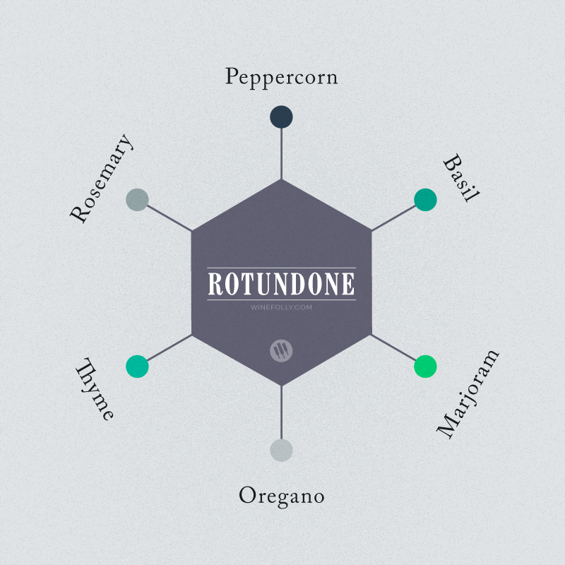 Rotundona