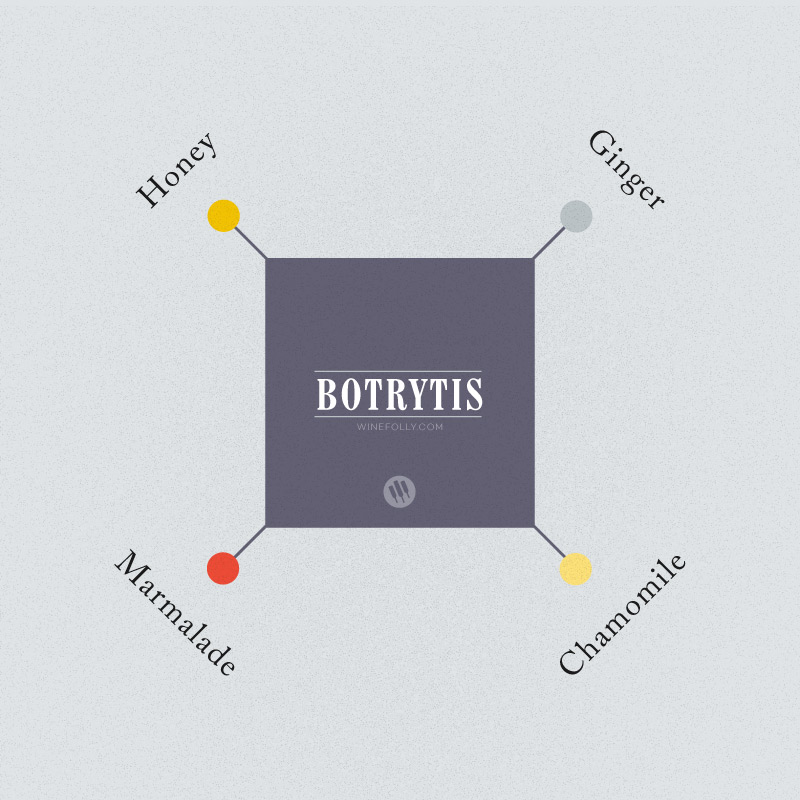 Botrytis