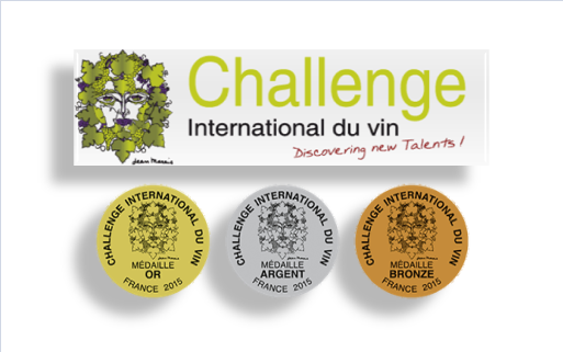 LOGO CDV2015