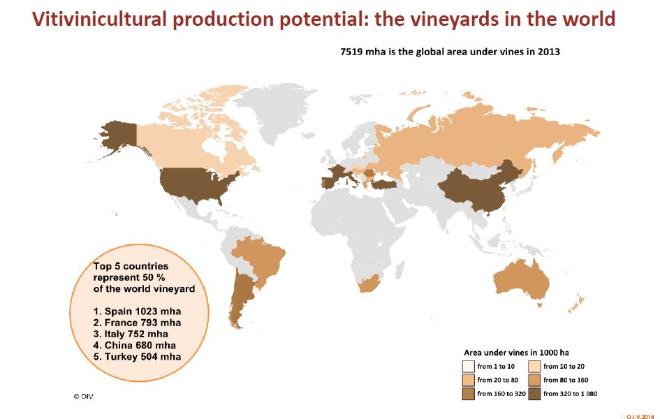 ÁREA DE VINHA OCUPADA NO MUNDO - Dados de 2013
