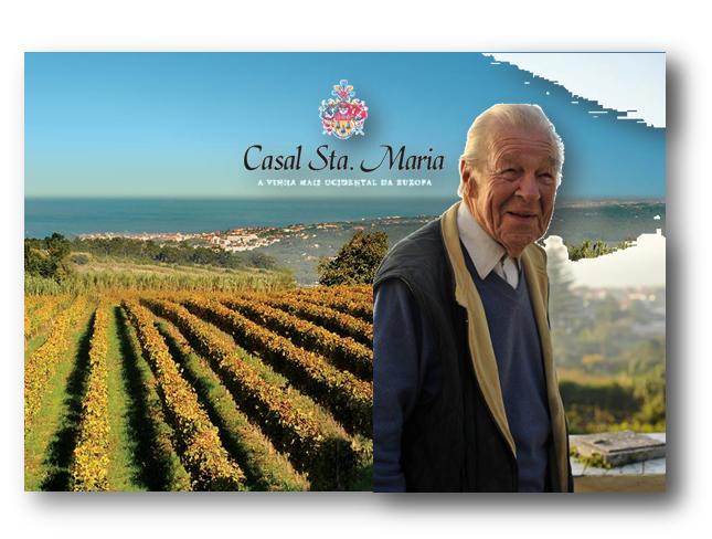 LOGO CSM