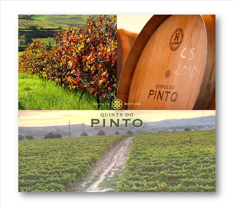 LOGO QUINTA DO PINTO