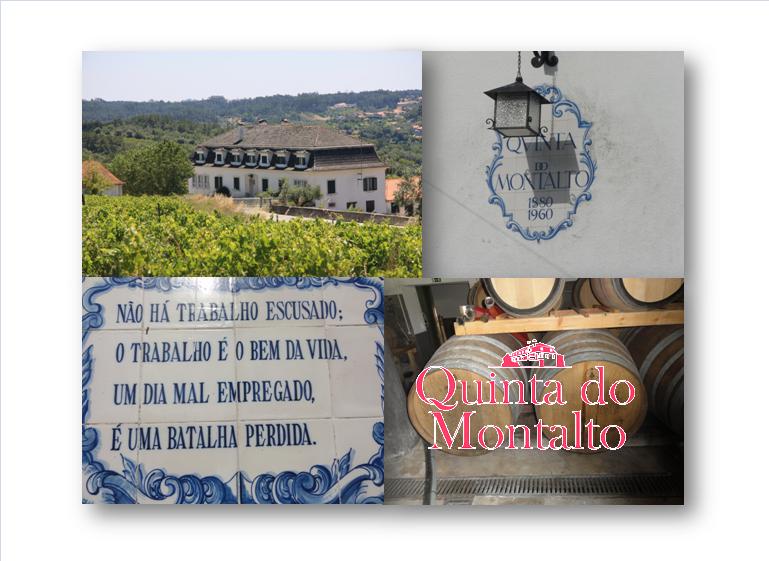 Telefone +351 218402268 E-mail info@quintadomontalto.com