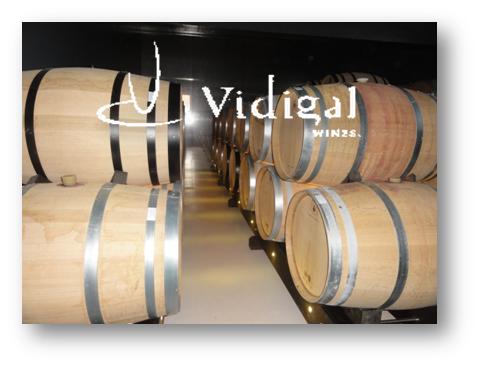 LOGO VIDIGAL