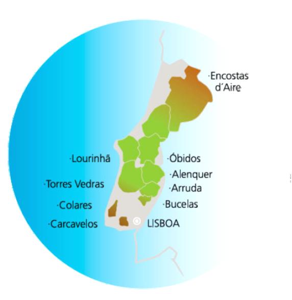 OS 9 DOCS (Denominação de Origem Controlada) da Região de Vinhos de Lisboa