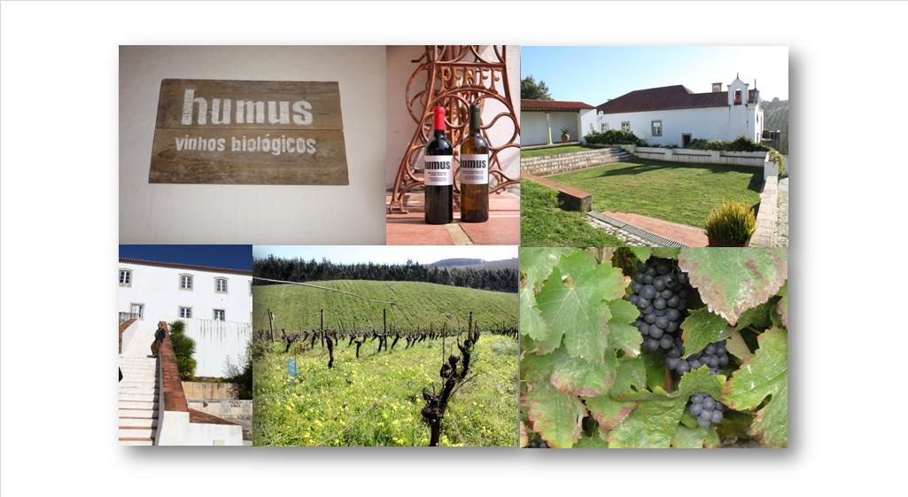 Encosta da Quinta, Lda. Quinta do Paço, 2500-346 Alvorninha – Portugal Tel: +351 917 276 053 Fax: +351 262 877 906 mail@encostadaquinta.com