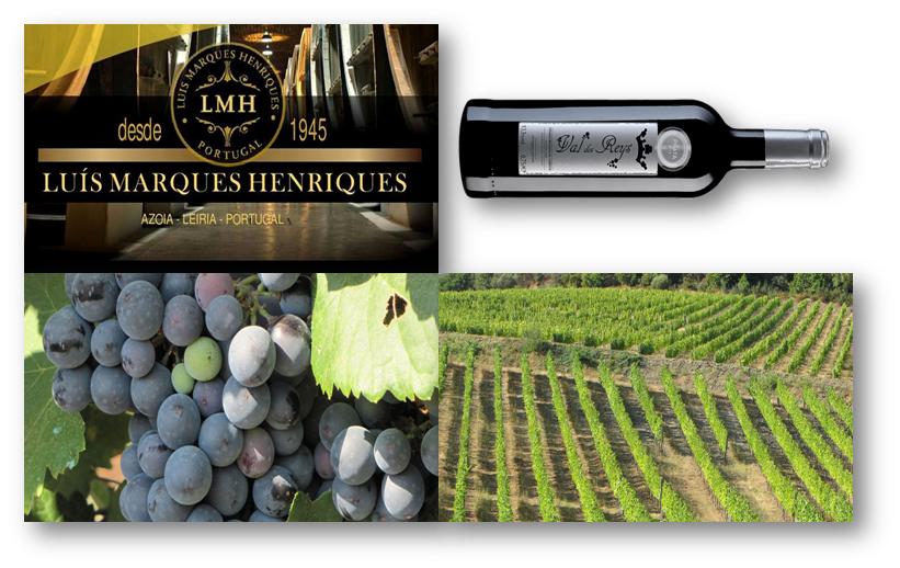 Vinho Português: As 13 Regiões Vinícolas de Portugal – LMH-Wines