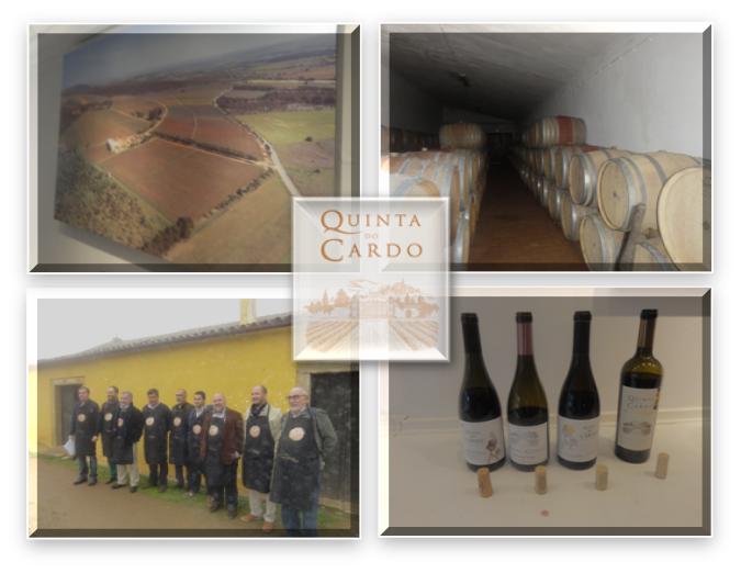 LOGO QUINTA DO CARDO