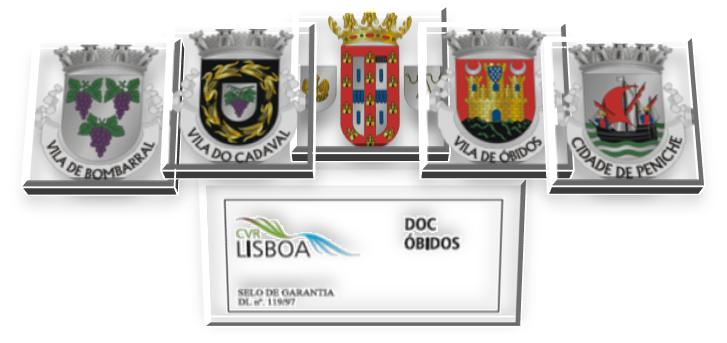 LOGO ROT DOC OBIDOS