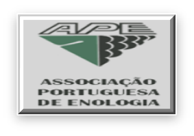 A.P. Enologia