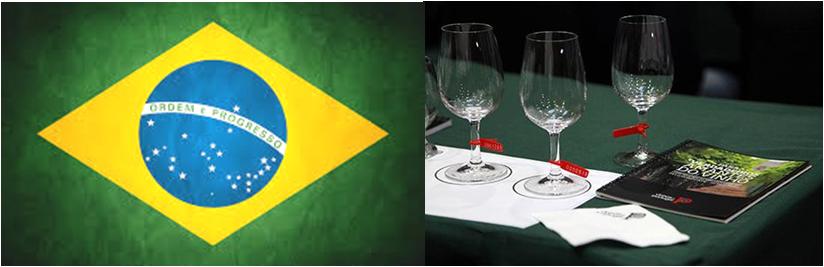 MERCADO: Continua a ser um dos principais mercados para os vinhos portugueses, pois tem vindo a apresentar uma elevada taxa de crescimento das exportações, próxima dos 19%, traduzindo um crescimento de 20 para 24 milhões de 2010 e 2011.  Os vinhos portugueses conseguiram um posicionamento alto no mercado brasileiro e Portugal está no grupo dos cinco fornecedores de vinho do Brasil. Além disso, o vinho português tem um preço médio alto e uma elevada conotação positiva neste mercado. É o segundo mercado de promoção dos vinhos portugueses após os EUA. 