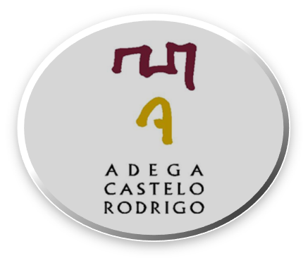 ACFCR LOGO 0º
