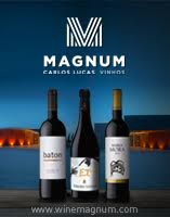 magnum-vinhos