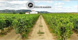 Ver aqui último artigo sobre a Adega de Almeirim.