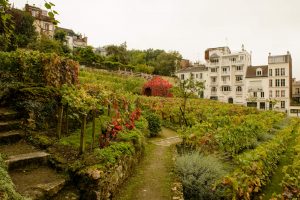 Appellation d'origine contrôlée- AOC (Vinhos de designação de origem controlada)