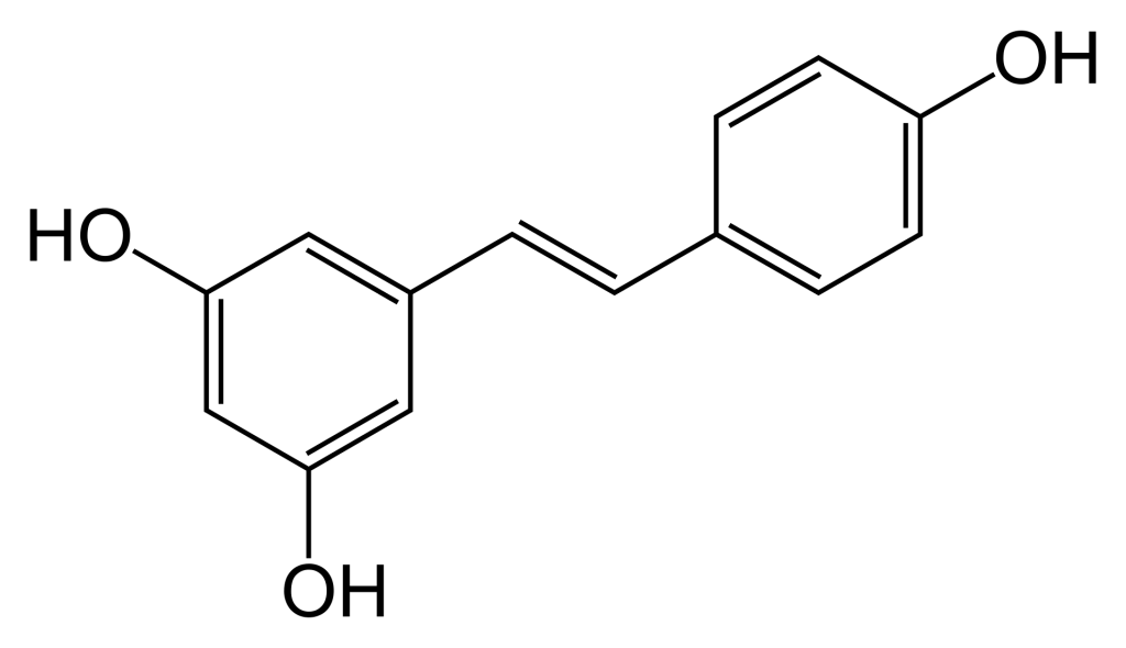 Exemplo de um polifenol: Resveratrol, um anti-oxidante poderoso
