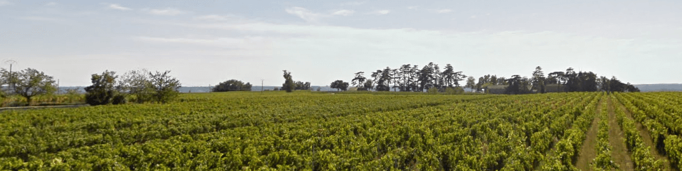 vueauloin-chateaudepressac