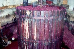 Alto Douro Vinhateiro – Prensagem, transfega e lotação