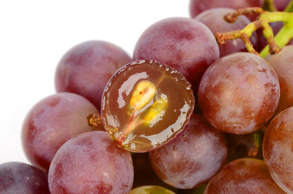 Uvas com poucos taninos
