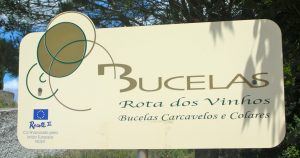 bucelas-wine-route-c2a9louise-hurren