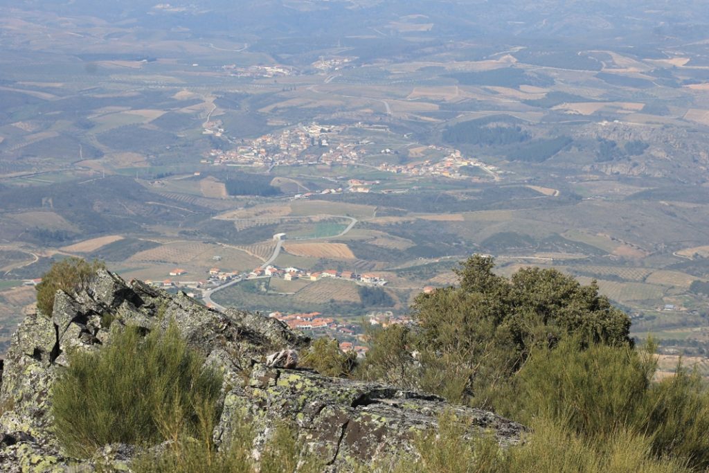 st_comba-1