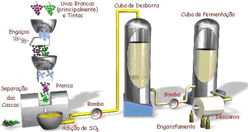 fluxograma processo vinho branco