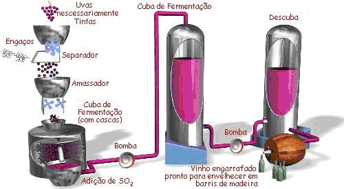 fluxograma processo vinho tinto