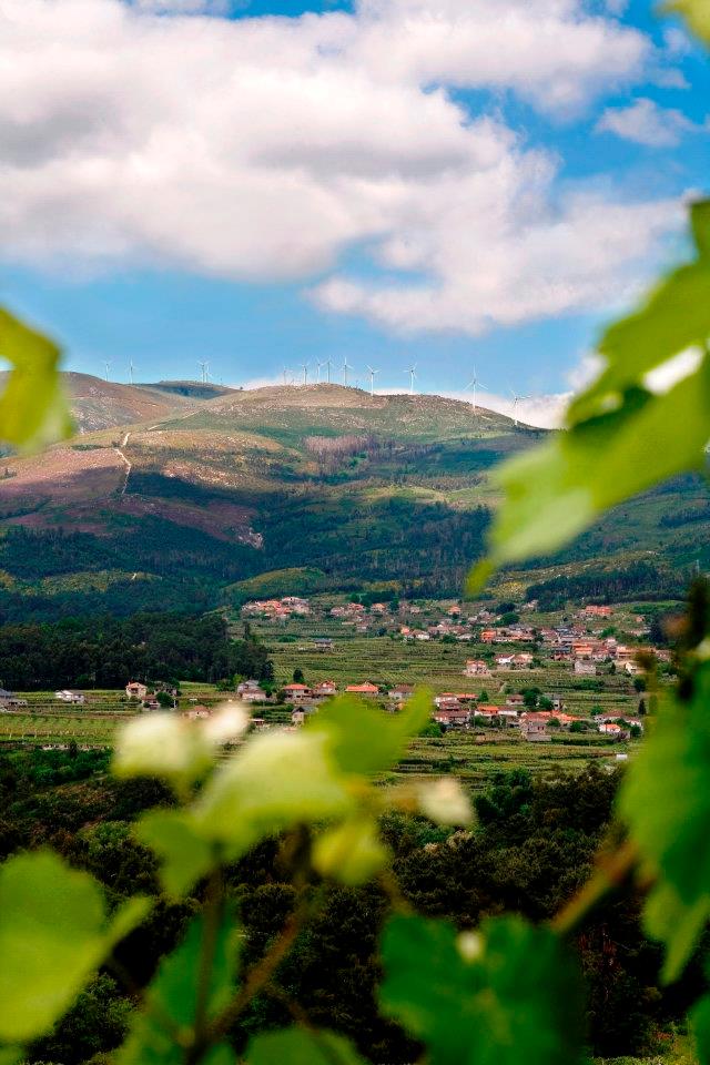 As encostas envolventes de Melgaço têm o microclima ideal para a casta Alvarinho, a partir da qual produzem o Soalheiro.