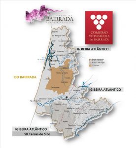 BAIRRADA: IG BEIRA ATLÂNTICO E DOC BAIRRADA