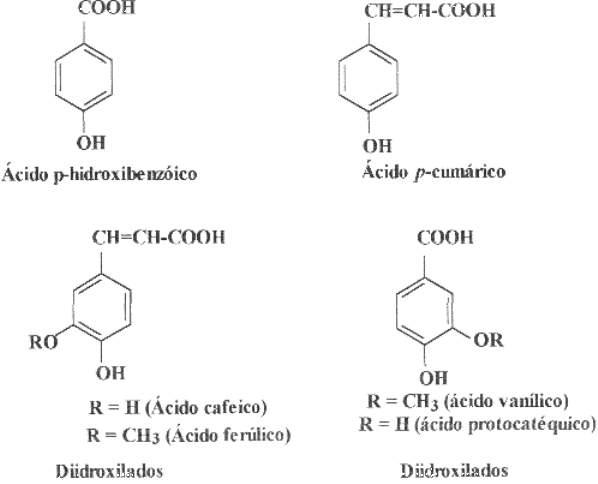 Tipos de ácidos fenólicos