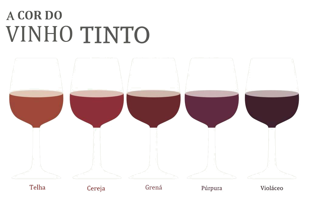 Como ocorre a evolução da cor do vinho tinto 7