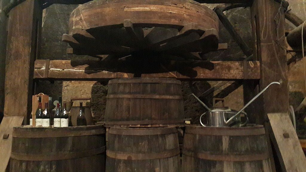 wine_yard_in_beaujolais